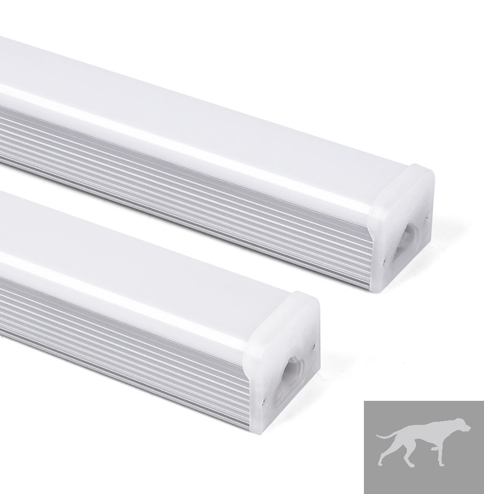 Thumbnail: PNL Series LEDs