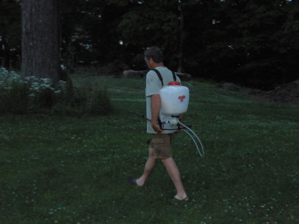 Natural pest prevention