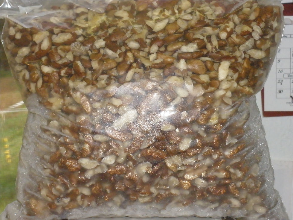 Gourmet Black Walnuts