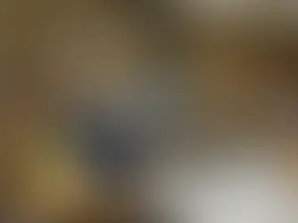 Courtroom proceedings illustrating institutional liability for abuse during the record $14.8 million Robert Gayle Springfield settlement hearing.