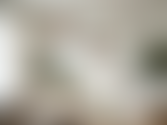 a mobile hanging from the ceiling representing Systemic Family Integration