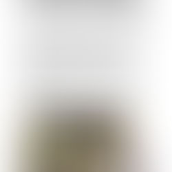 Term 5 2025 - Art