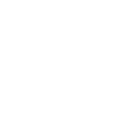 form.png