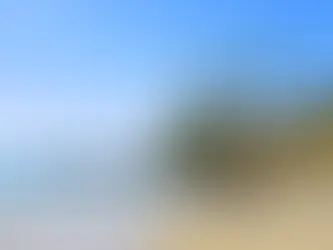 Shaw's Cove: Nature's Retreat on the Pacific Shore