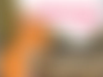 restrição calórica e sua influencia no aumento da expectativa de vida dos ratos de estimação