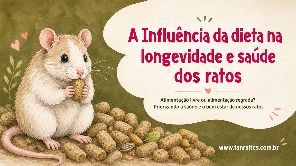 Capa de artigo da Fanratics sobre a influência da dieta na longevidade e saúde dos ratos, com um ratinho ilustrado em estilo delicado, elementos de ração ao fundo e texto destacando alimentação livre ou regrada para priorizar o bem-estar dos ratos.