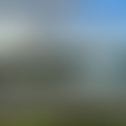 Week of March 21, 2021