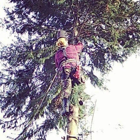 Week of January 31, 2021