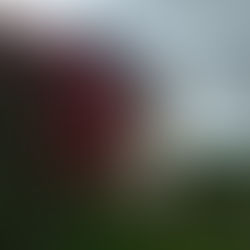 Week of June 13, 2021