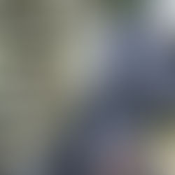 Week of September 21, 2020