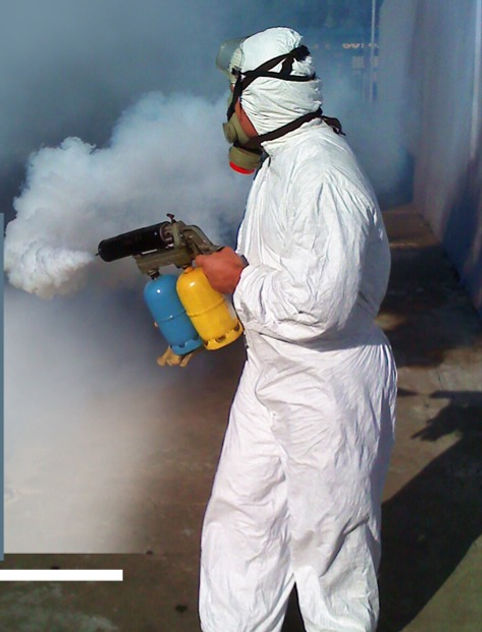 fumigacion editado.jpg