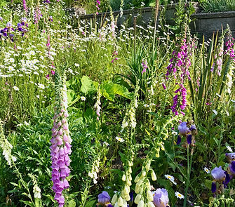 Seasonal gardens Sidney B&B