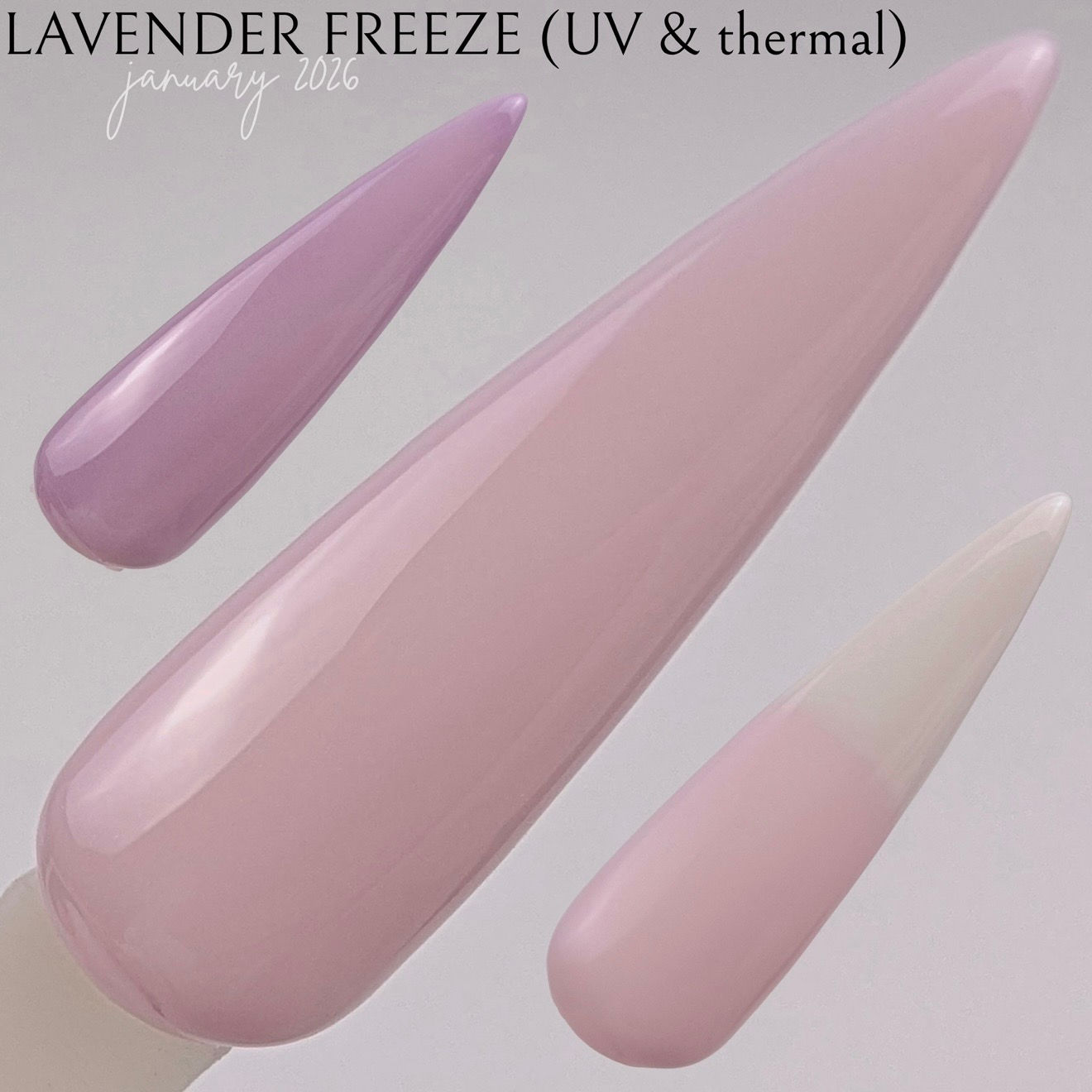LAVENDER FREEZE
