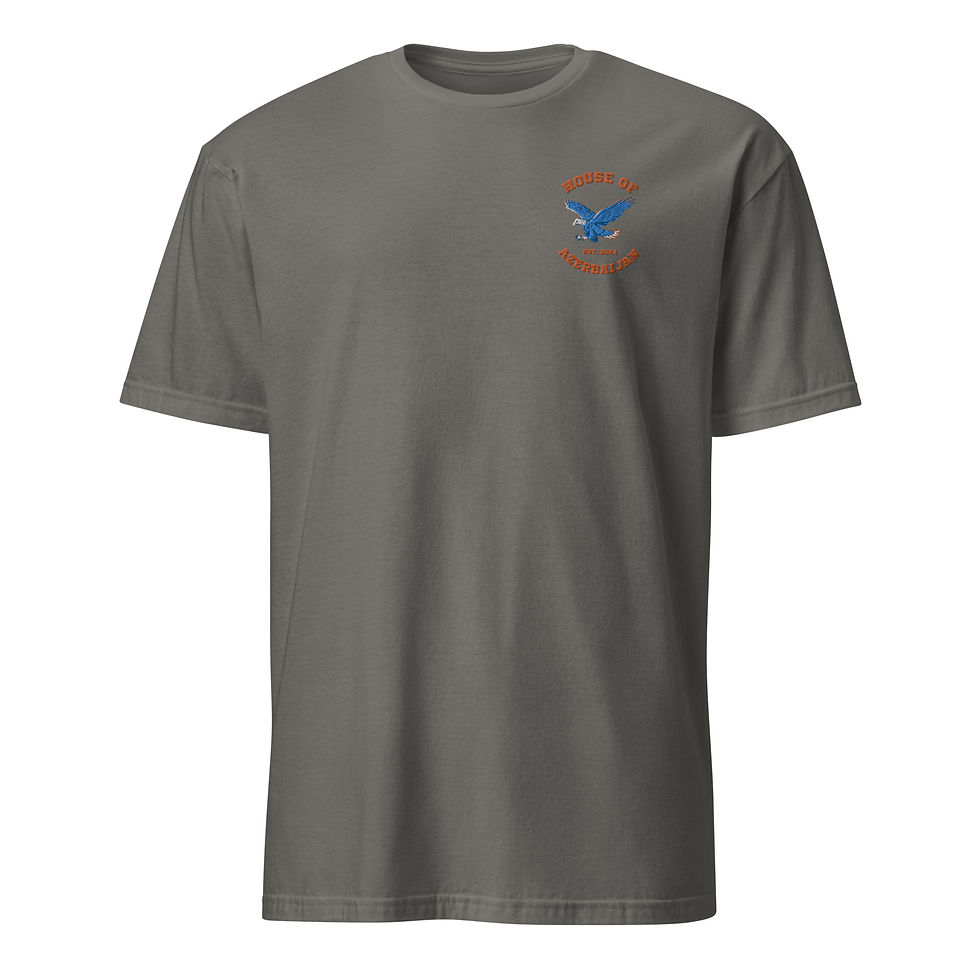 Thumbnail: "House of Azerbaijan" Embroidered Unisex T-Shirt