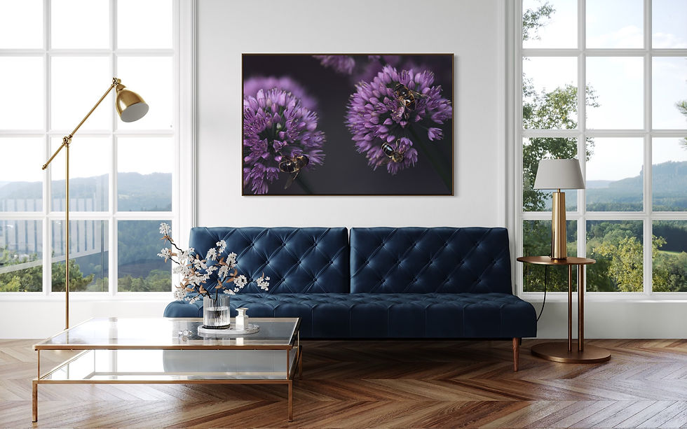 Miniaturbild: Wandbild „Bienentanz“