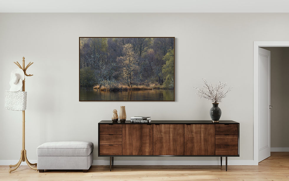 Miniaturbild: Wandbild „Symphony No II“