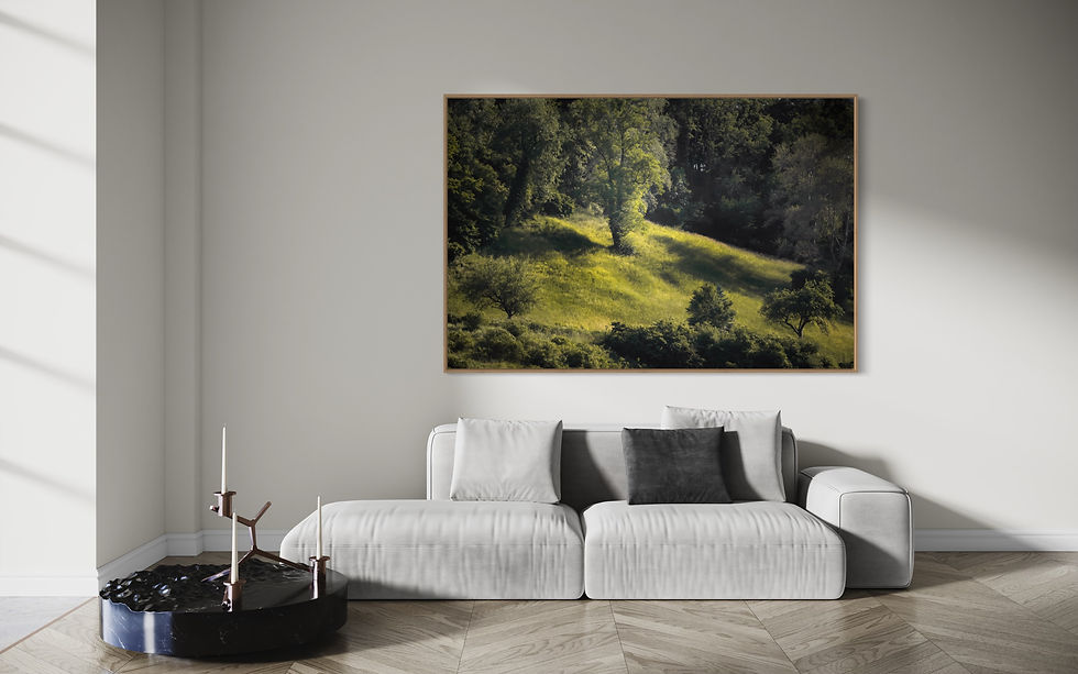 Miniaturbild: Wandbild "Shades of Green I"