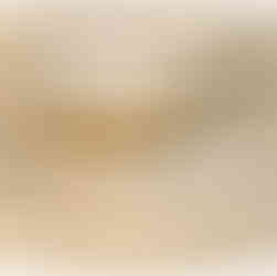 シャクヤク(芍薬)の根を乾燥させた生薬-シャクヤク(芍薬)