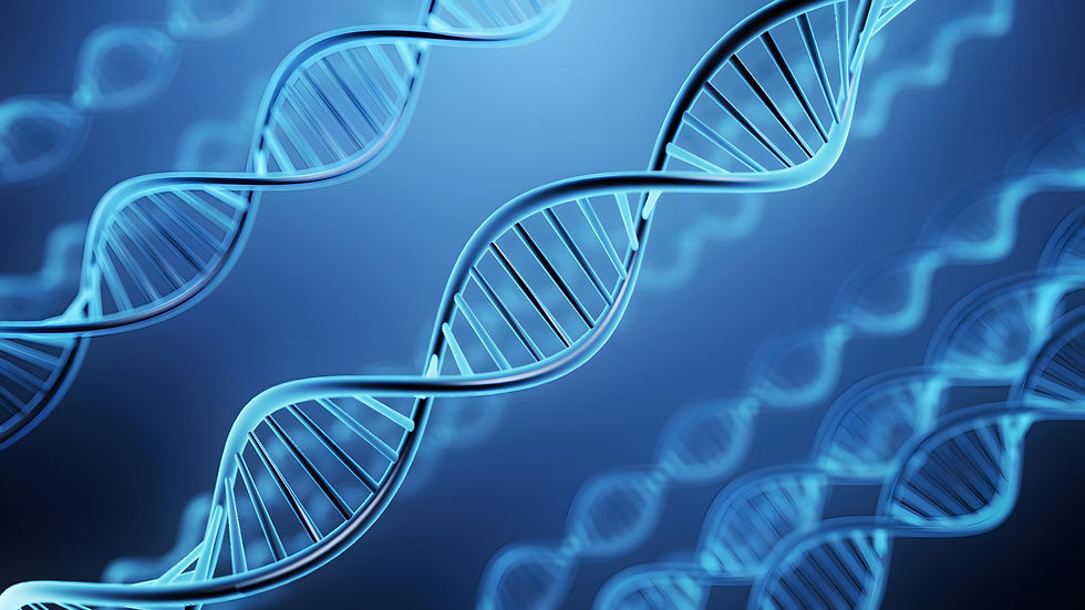 人のDNA2重螺旋 黄金比 1:1.618