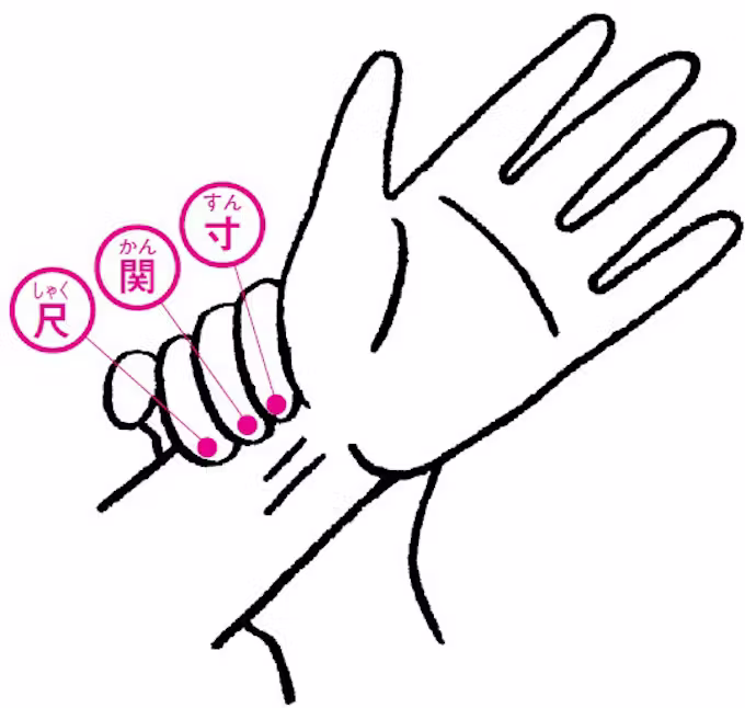 脈診-日本経済新聞社