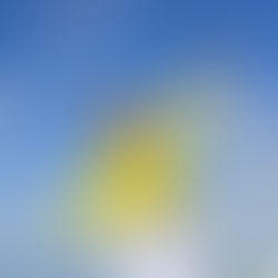 From Spring Fatigue to Vitality – Come Alive from the Inside Out!