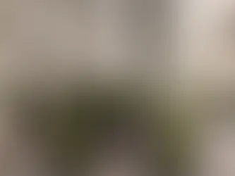 Houston Apartment Rental Prices in 2025: What to Expect & How I Can Help You Find the Best Deals