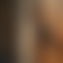 Explorando as opções da Decore Portas em Manaus