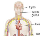 LongTermComplications