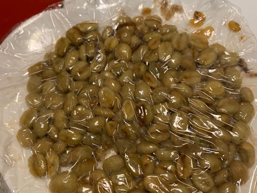 コーヒーの生豆いろいろやってみよう