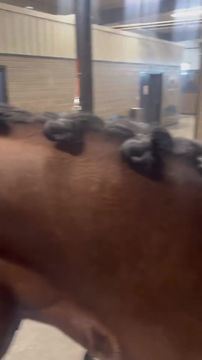 Thumbnail: ManeLux Braiding Wax