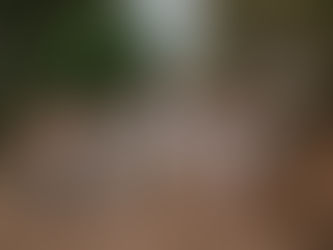 Finca Son Sampol:                                  más que una finca, una familia. 