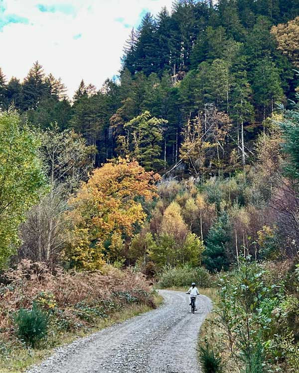 Glenhurich-Lodge-nearby-roa.jpg