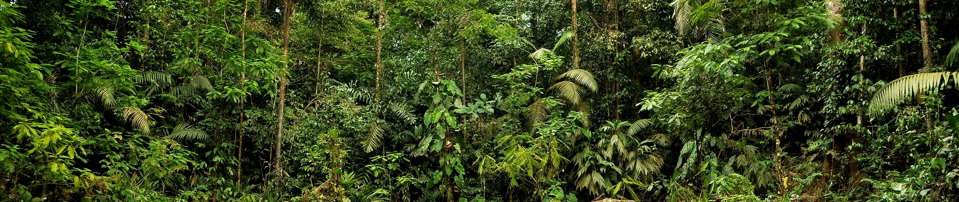 Living in Costa Rica