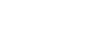 Palmer-Energy-white-logo.png