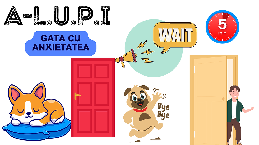 Câinele tău e din nou singur acasă