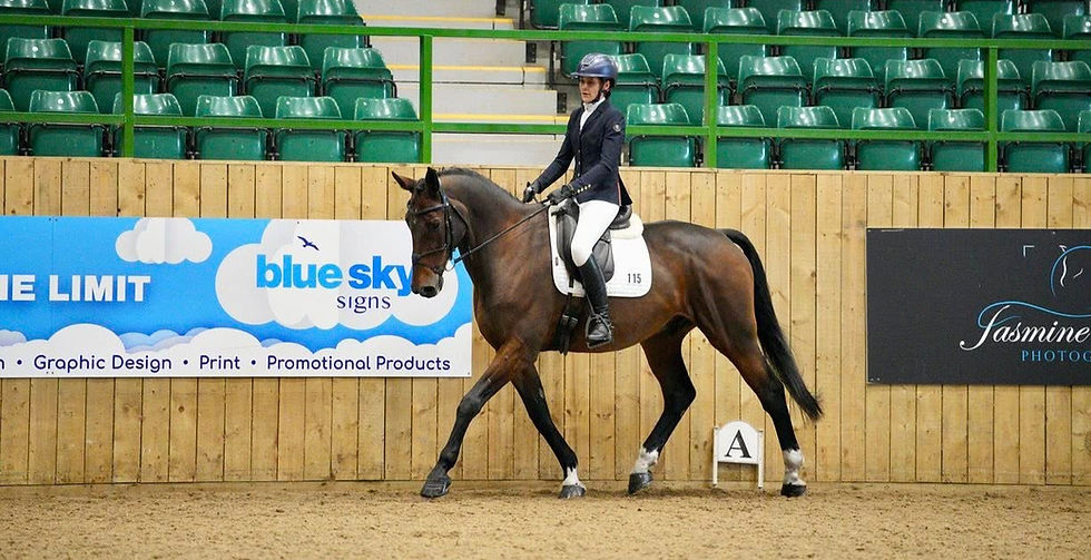 Storm Amy didn't dampen our spirits at the Area 18 Intermediate Dressage!