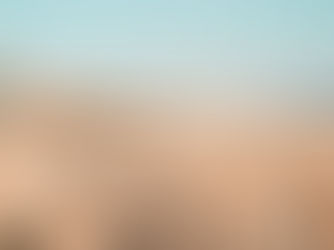 16 Colleges Near The Beach For Sun-Seeking Students