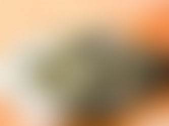 Here's All The Places You Can Go For Extra Financial Help For Students In The UK