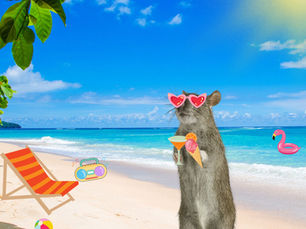 Forget Hot Girl Summer — Here's Rat Girl Summer