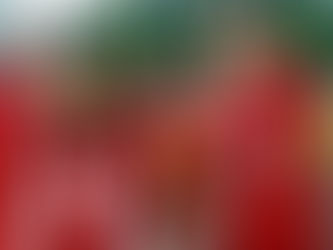 She's The Man Is Now Streaming On Netflix