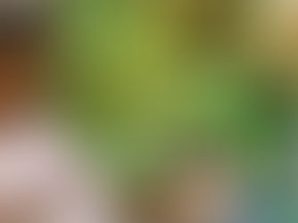 Neurodiverse Universe