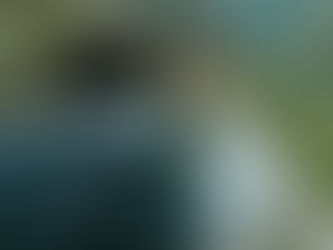 Best Gap Year Ideas 2025