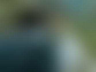 Best Gap Year Ideas 2025