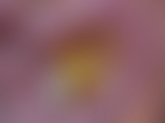 The Best Vitamins For Students