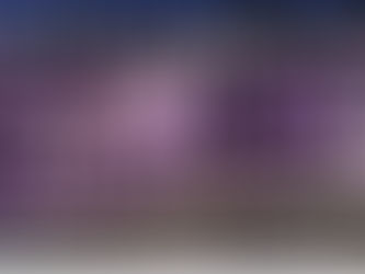 Doc Z's Albany Shakedown Shootout Report