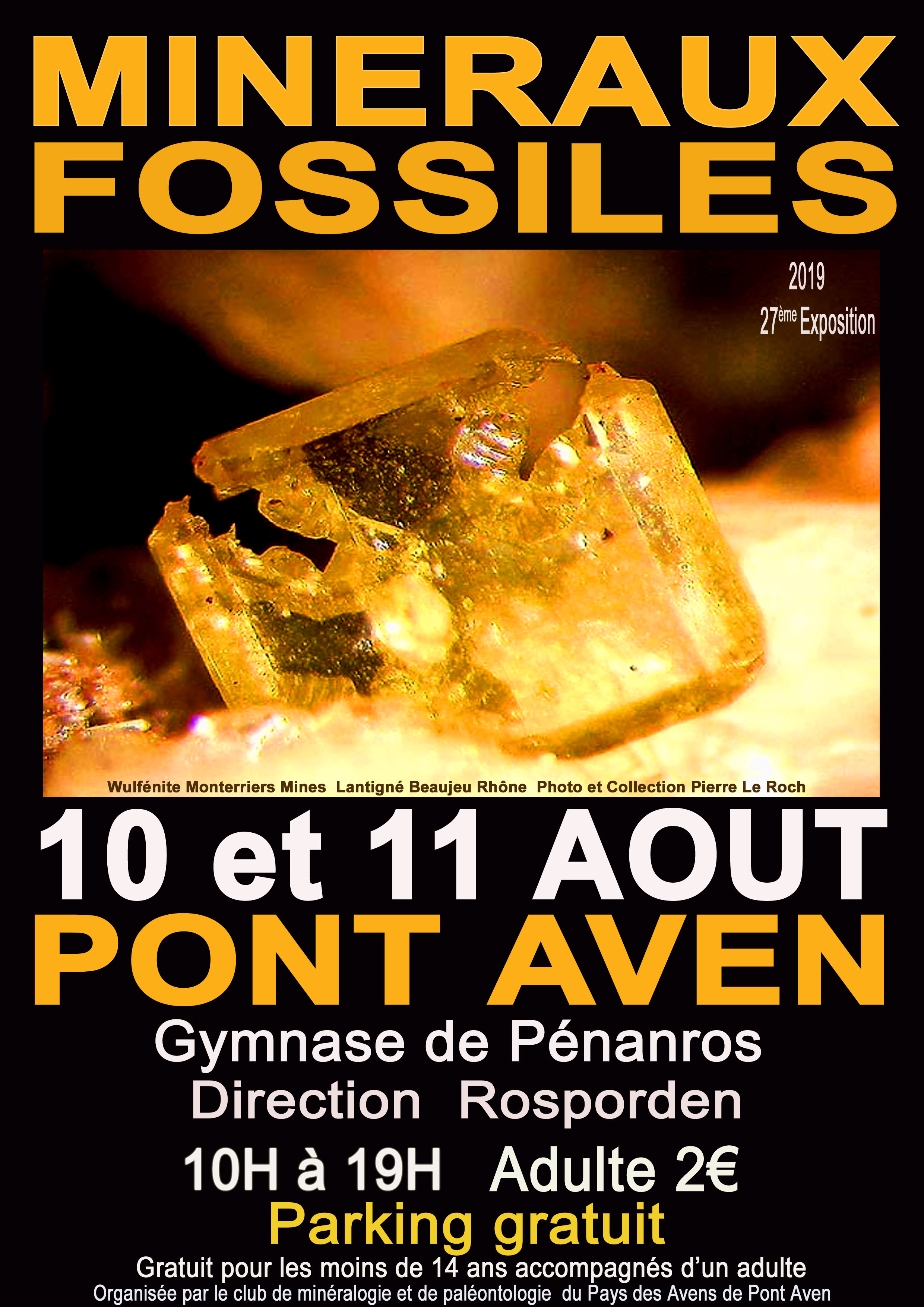 Exposition de fossiles et minéraux