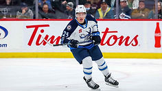 Manitoba Moose Pic.jpg