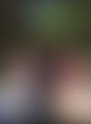 Collection for Dave Bushby A.K.A Sweet Chucks