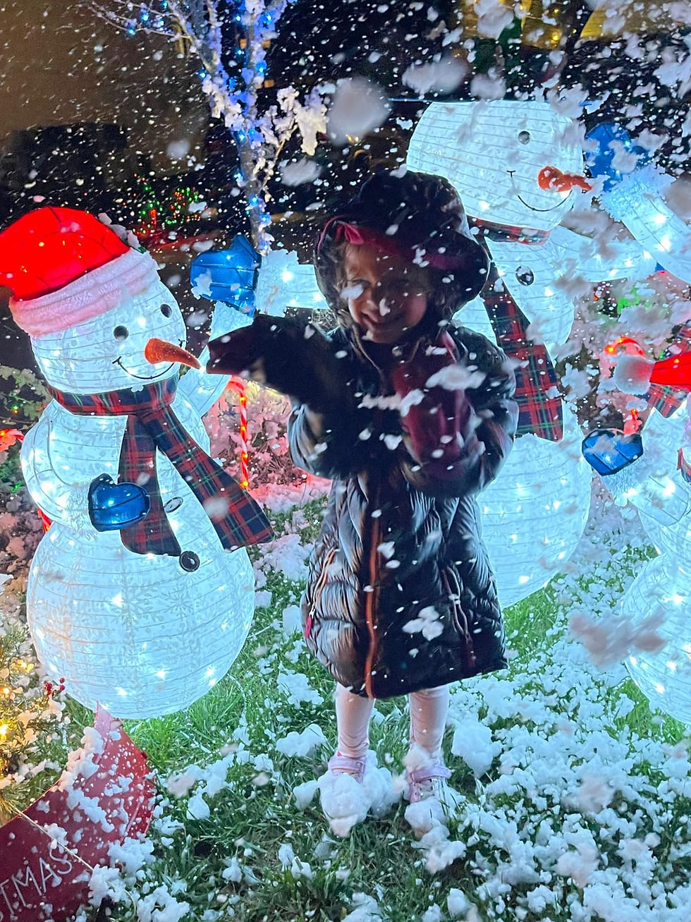 Thumbnail: Artificial Snow Machine Rental (1500W)