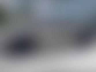Buying a Tesla? Get Rewarded BIG TIME!